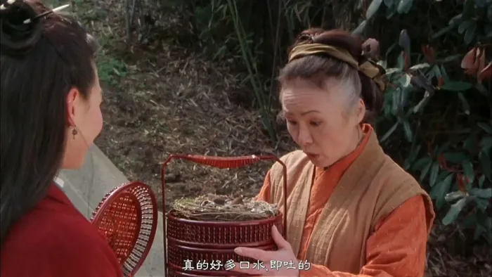 [2004][香港]《飞侠小白龙_The White Dragon》[国语中字][MKV_2.17G][张柏芝_吴镇宇_安志杰]