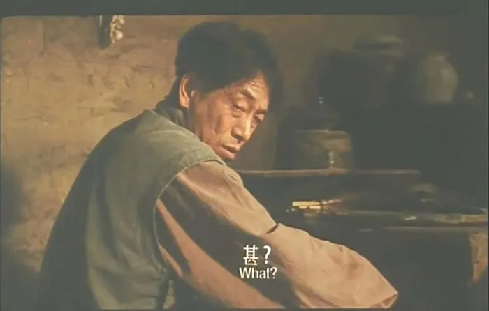 [1996][中国内地]《耗尽一生》[国语中英双字][720P_MKV_2.28GB][徐帆 _ 李雪健]