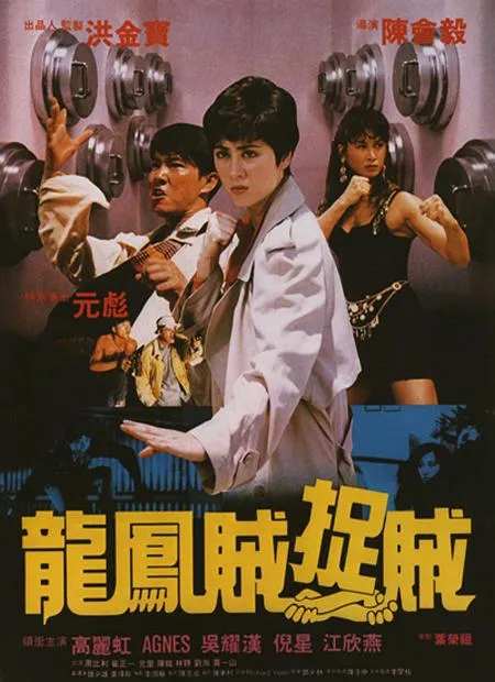 [1990][香港]《龙凤贼捉贼》[动作][元彪_吴耀汉_洪金宝_周比利_高丽虹_元奎][国粤双语_中英字幕][mkv-1.65G]