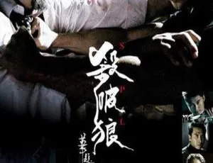 2005香港经典动作片《杀破狼》：甄子丹洪金宝任达华吴京国粤双语中字MKV 2.82G