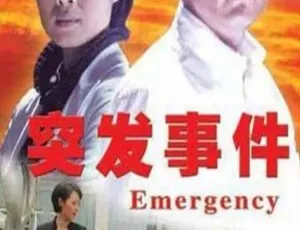 2008 中国大陆《突发事件》国语中字 5.32GB 百度网盘资源