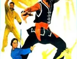 中国大陆经典《武林志》1984 国语中字 5.49GB 百度网盘资源