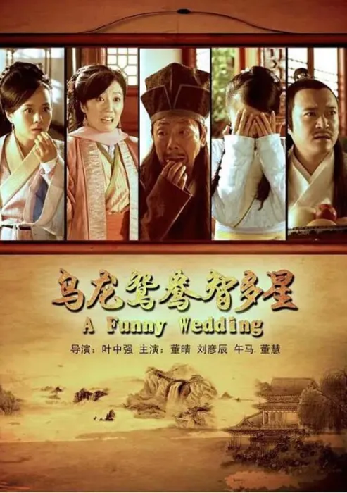 [2013][中国大陆]《乌龙鸳鸯智多星》[国语中字][4.73GB][百度网盘]