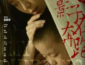 2013 中国大陆高分电影《我的影子在奔跑》 国语中字 4.70GB 百度网盘资源
