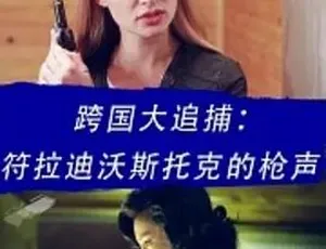 2016动作犯罪大片《跨国大追捕：符拉迪沃斯托克的枪声》百度下载 全1集4.81G