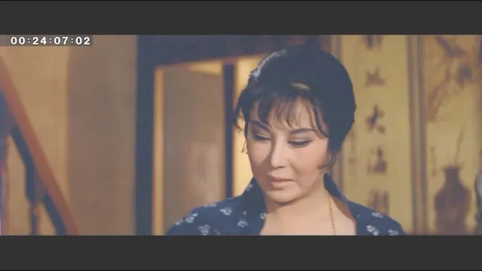 [1969][中国台湾][扬子江风云][国语中字][VOB][4.00GB][百度网盘]