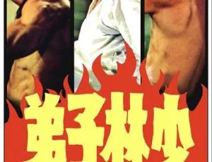 1974 香港经典《少林子弟》国语 AVI 699MB 百度盘资源