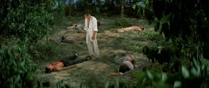 [1974][香港][少林子弟][国语][AVI][699MB][百度盘]