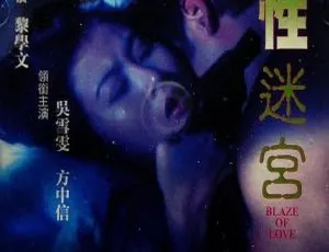 1994香港经典《性迷宫》国粤双语无字 1.91GB 百度网盘资源