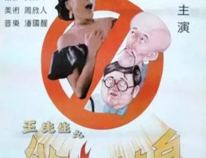 1993 中国大陆经典《王先生之欲火焚身》 国语中字 5.22GB 百度网盘资源