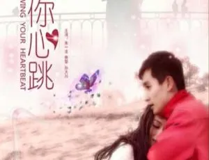2015 中国大陆《贴着你心跳》国语中字 5.03GB 百度网盘资源