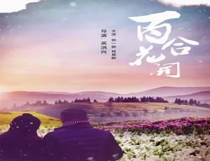 2011 中国大陆《百合花开》汉语普通话 5.13GB 百度网盘资源