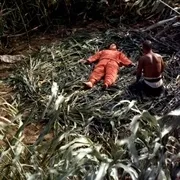 1988《红高粱》[剧情/爱情/历史/战争][汉语普通话/全1集4.75G][百度下载]