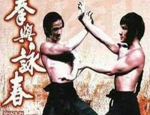 1974 香港洪拳与咏春经典 国语中字 696MB 百度盘资源-小文资源网