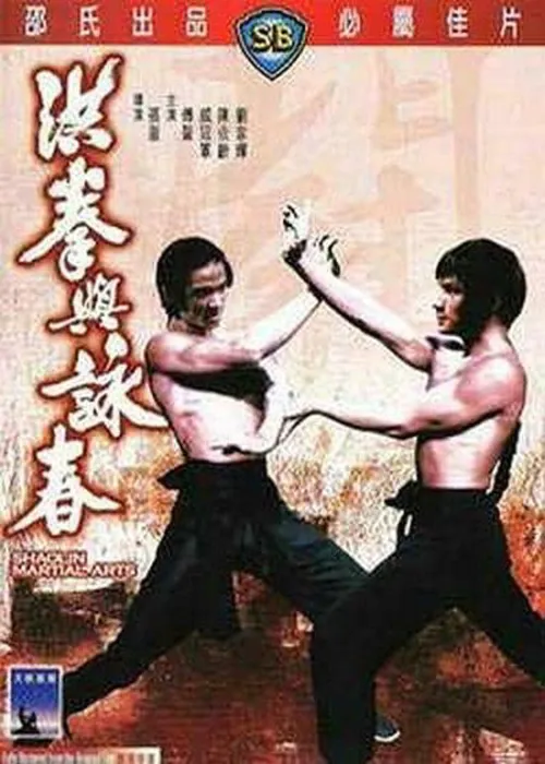 [1974][香港][洪拳和咏春][国语中字][DVD-AVI][696MB][百度盘]