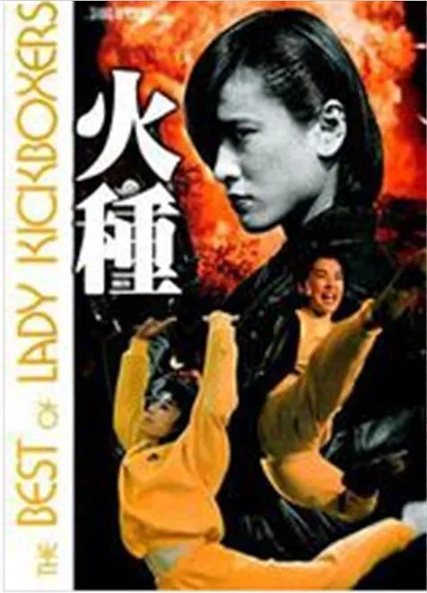 [1993][香港]《轰天皇家将2之火种》 [李赛凤 胡慧中 大岛由加利][国语中字][MKV_5.11G][李赛凤 胡慧中 大岛由加利]