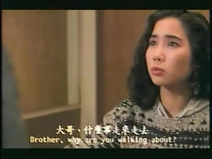 [1992][香港]《葡京大劫案》[粤语中字][rmvb_340m]