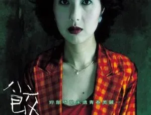 2004 香港惊悚片《三更二：饺子》国语中字 851M 高清资源