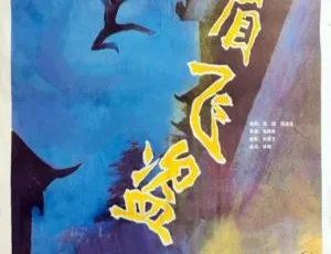1985 中国大陆经典《峨眉飞盗》 1080P 国语中字 1.94G 百度云资源-小文资源网