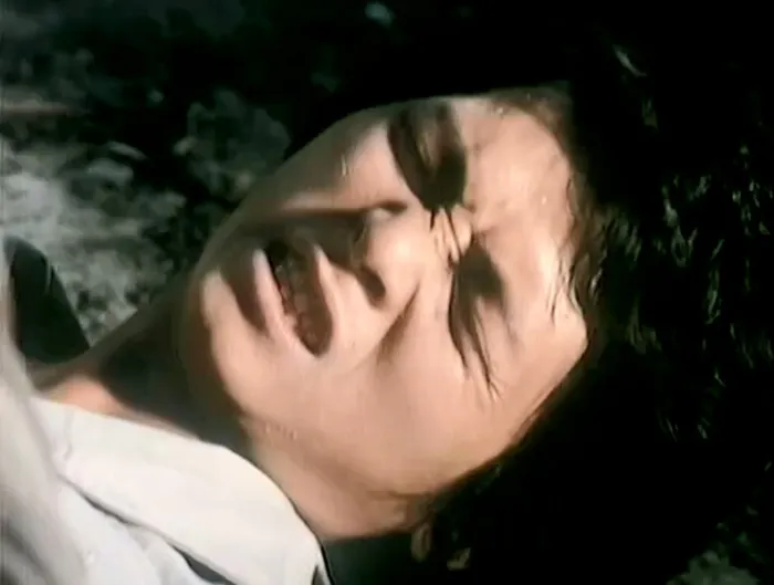 [1978][香港]《蛇珠》[剧情_动作_冒险][陈星_何宗道_丹娜][国语无字][MKV_600M]