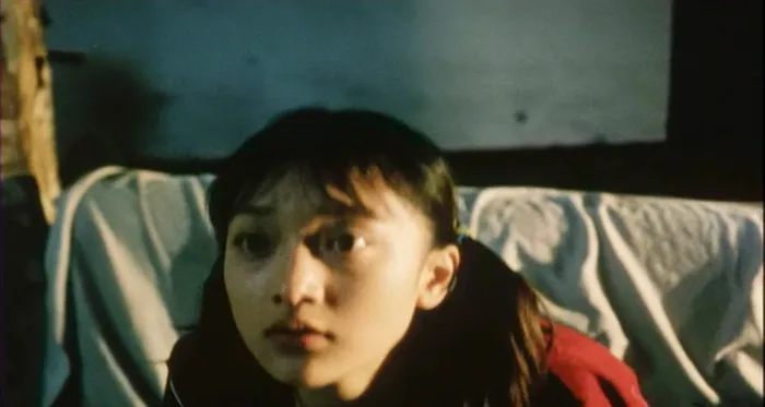 [2000][中国]《苏州河》[国语中字][mkv_1.2G].国语中字￡CMCT牛仔