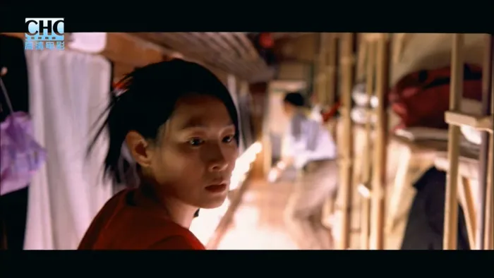 [2005][香港]《天下无贼》[刘德华 _ 刘若英_王宝强 _ 李冰冰 _ 葛优][MKV_2G]