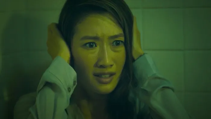 [2011][香港][猛鬼爱情故事][国粤双语中字][MKV][949MB][百度网盘]