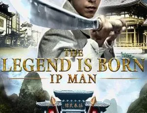 2010香港经典《叶问前传》国粤双语中字 2.60GB 百度网盘资源