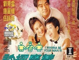 1994 香港经典《神探磨辘》：刘青云 钟丽缇 伍咏薇 吴镇宇 冯素波 国语无字幕 1.8G MKV 资源-小文资源网