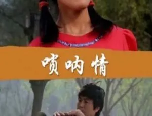 1999 中国大陆经典《唢呐情》 国语中字 1.75GB 百度网盘资源