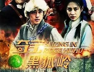 2018 爆款《夺宝黑狐岭》 全 1 集 4.95G 汉语普通话 百度下载