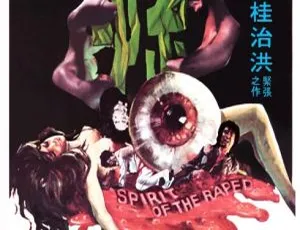 1976香港惊悚索命国语MKV 735MB百度网盘资源