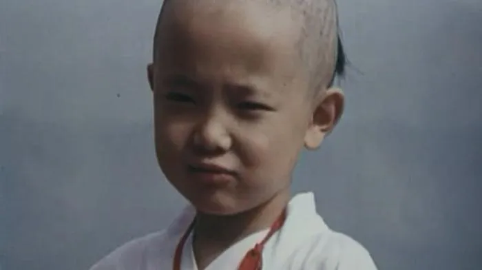 [1993][香港][聊斋之鬼狐][国粤双语_中英字幕][MP4][732MB][百度网盘]