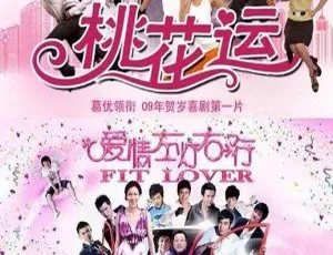 2008香港电影《桃花运》CCTV6HD国语无字TS 5.68GB百度网盘资源-小文资源网