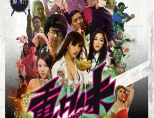2013香港重口味大片 国粤双语中字MKV 3.42GB 百度盘资源