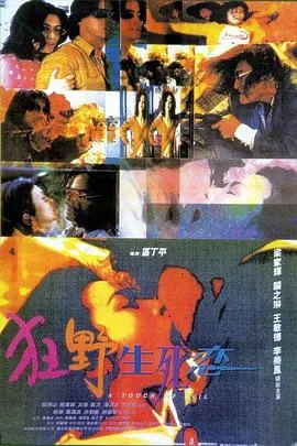 [1995][香港]《狂野生死恋》[国语中字][mkv_960M]