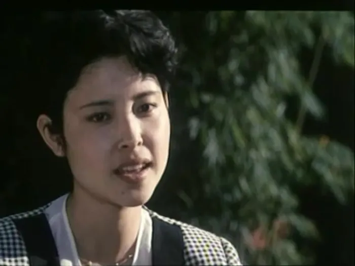 [1987][大陆]《陆军见习官》[ 张光北 _ 吴若甫 _ 刘交心][国语无字][mkv_1.37G]