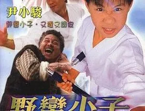 2003 台湾经典《新笑林小子之我最棒》1080P 国语无字幕 MP4 资源 1.74G-小文资源网