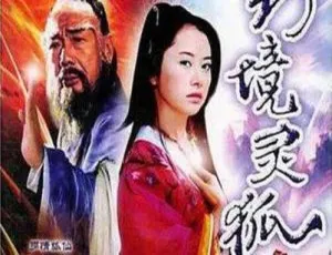 2000 中国大陆奇幻电影《家有狐妻》国语中字 2.10GB 百度网盘资源
