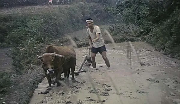 [1987][中国大陆]《山村风月》[国语中字][1.69GB][百度网盘]