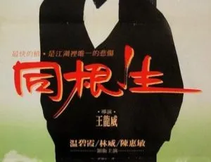 1989香港经典《同根生》国语中字1.11GB 百度网盘资源-小文资源网