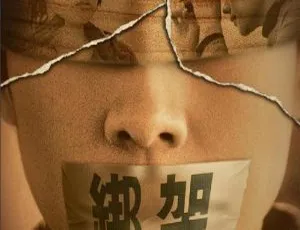 中国香港经典悬疑片《绑架_连环局》：林嘉欣刘若英张智霖郭涛主演 1080P 资源
