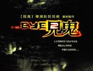 2004 香港惊悚片《见鬼 2》国语中字 DVDRip MKV 1.36G 资源