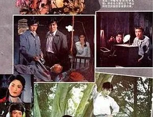 1981 中国内地经典《潜影》无字幕 DVDRip 高清 1.51GB 资源