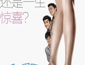 内地2012年范冰冰李治廷吴佩慈《一夜惊喜》 国语中英文字幕749MB 高清mp4-小文资源网