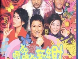 刘德华刘青云古天乐梁咏琪主演 2002 香港电影《呖咕呖咕新年财》国粤双语中字 2.22G MKV 版