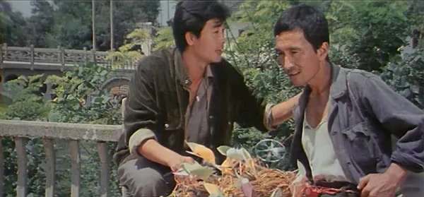 [1985][中国大陆] 《流浪汉与天鹅》[国语中字][1.96GB][ 百度网盘]