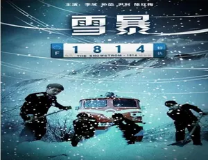 2010 中国大陆神作《暴雪 1814》 汉语普通话 4.5GB 百度网盘资源-小文资源网
