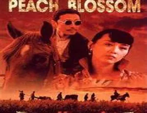 1995 中国经典《欲望桃花之桃花满天红》国语中字 1.28GB 百度网盘资源-小文资源网