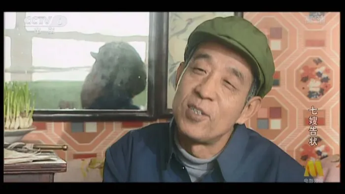 [2000][中国][七嫂告状][国语中字][TS][4.94GB][百度网盘]